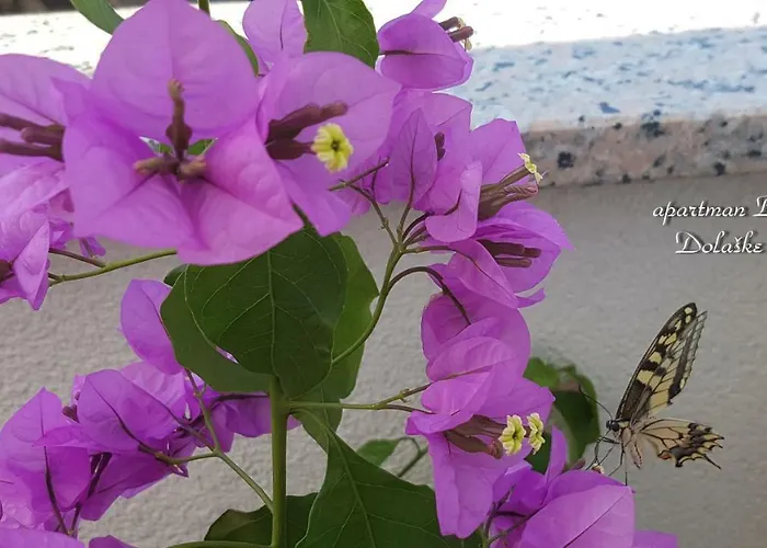 Bilandzic Appartamento